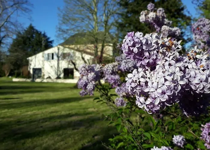 Apartmán La Maison Du Champ De Beaumont Galgon